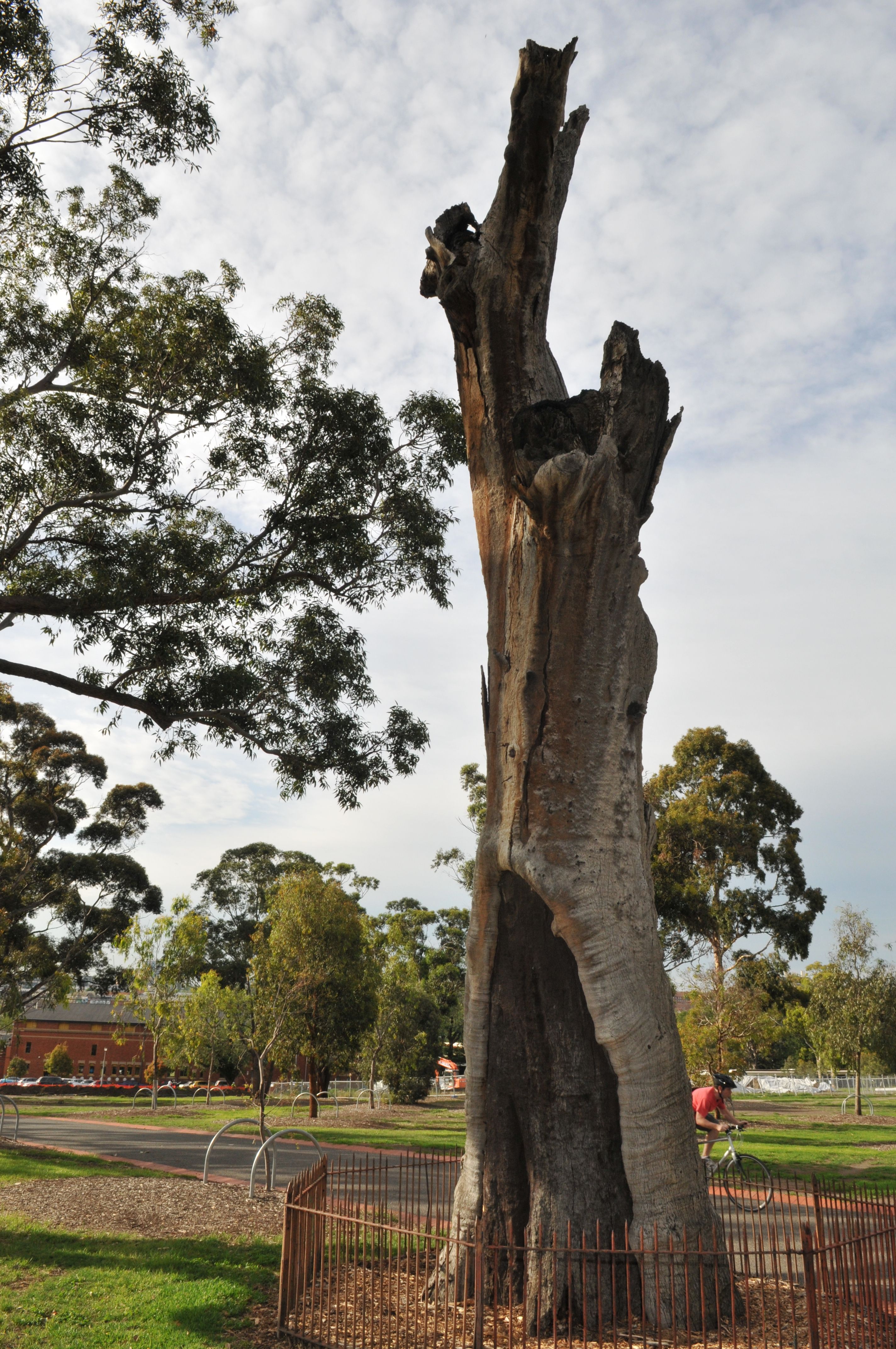 Mapping Aboriginal Melbourne
